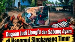 Dugaan Praktik Judi Liongfu dan Sabung Ayam di Hangmui Singkawang Timur Disorot, Warga Pertanyakan Tindakan Aparat