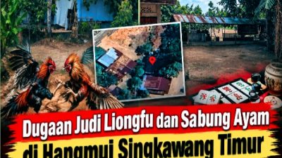 Dugaan Praktik Judi Liongfu dan Sabung Ayam di Hangmui Singkawang Timur Disorot, Warga Pertanyakan Tindakan Aparat