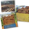 Disebut dalam Pemberitaan Dugaan Illegal Logging, Eko dan Kanit Intel Polsek Sandai Beri Klarifikasi